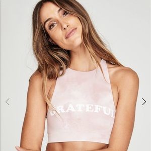 Grateful Active Crop Bra Pink Cloud